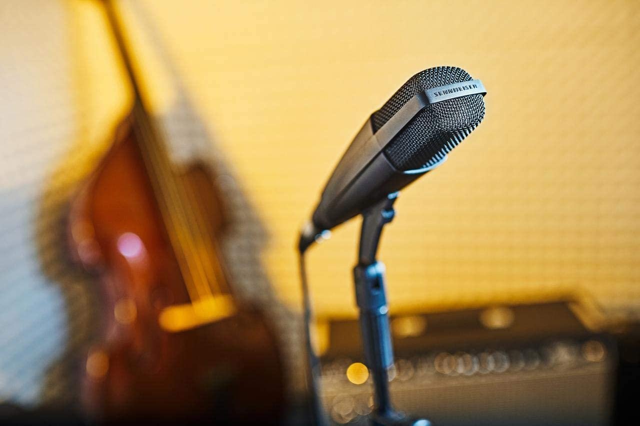 Sennheiser MD 421 II Cardioid Dynamic Mic