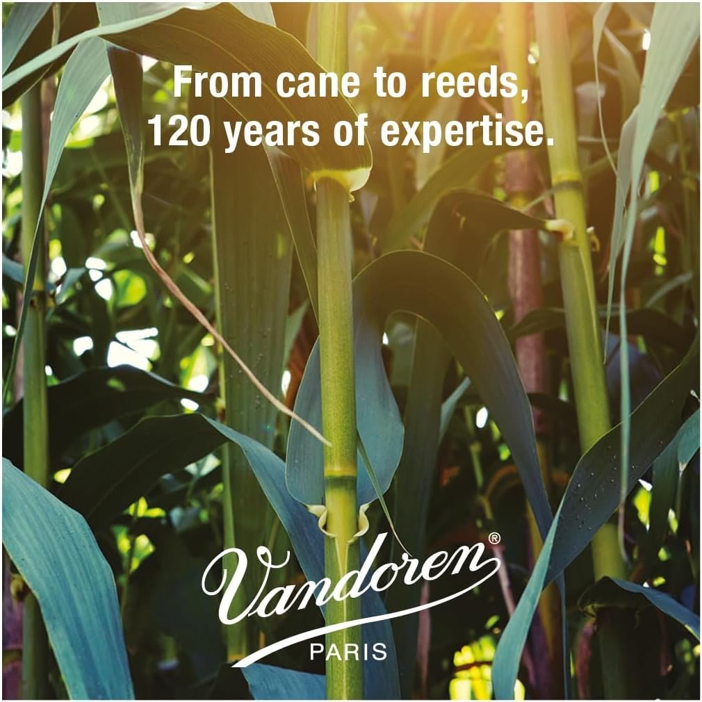 Vandoren CR103 Bb Clarinet Traditional Reeds Strength 3; Box of 10