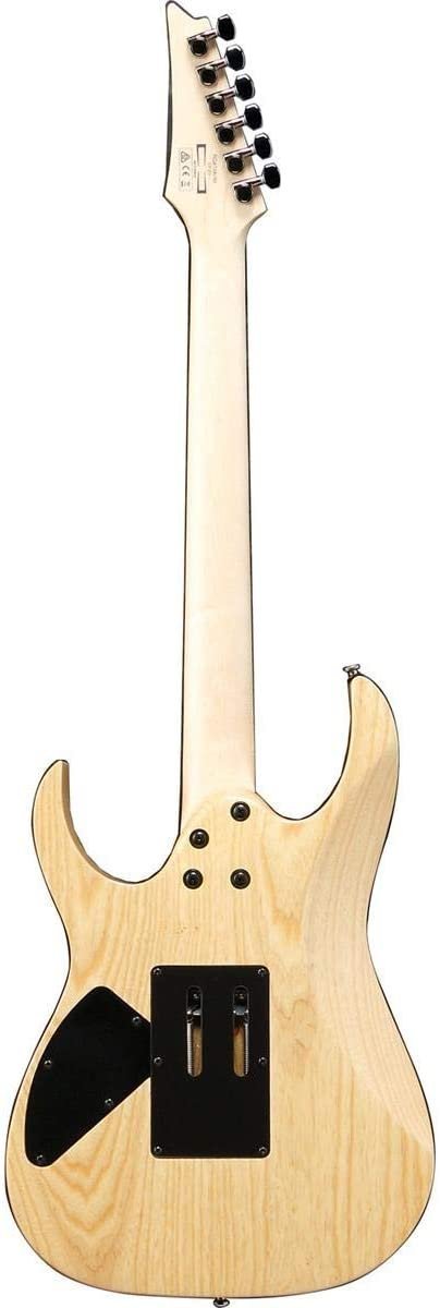 Ibanez RG470AHM Standard 6-String Electric Guitar (Blue Moon Burst)