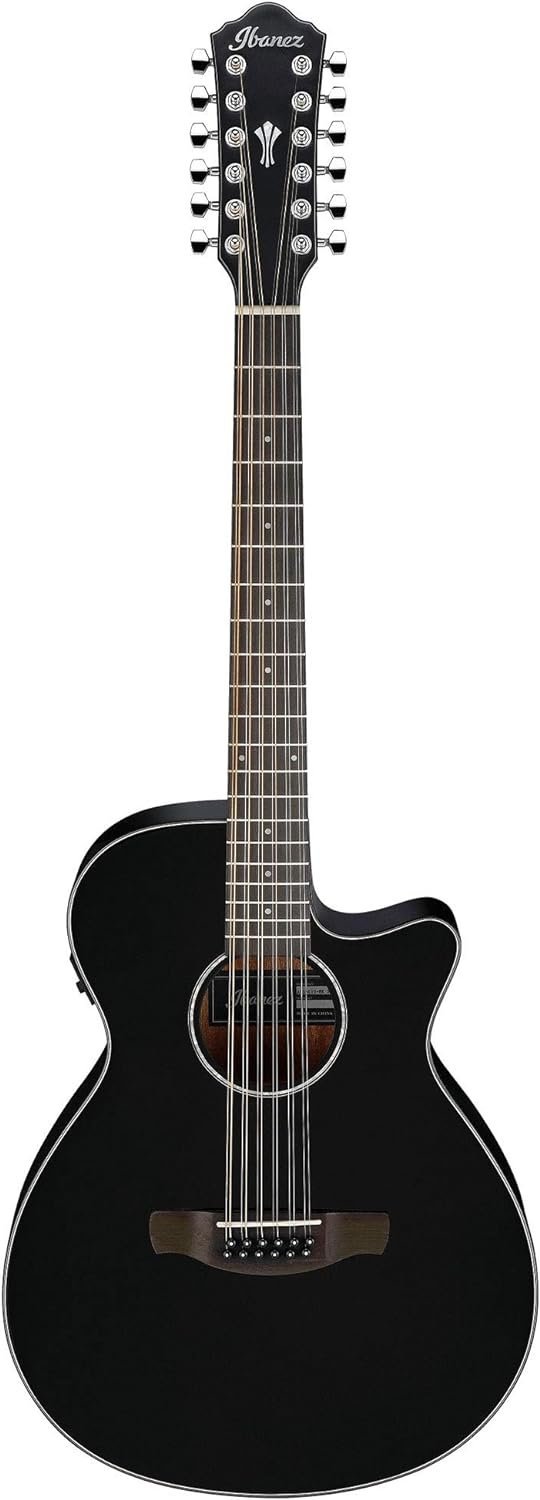 Ibanez AEG5012 AEG Series Single-Cutaway 12-String Acoustic-Electric Guitar, Black