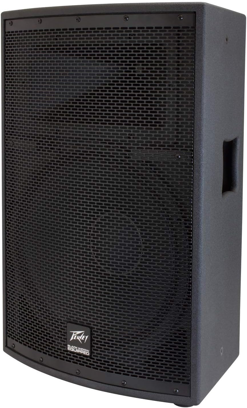 Peavey SP 2 1000-Watt 2-Way PA Speaker