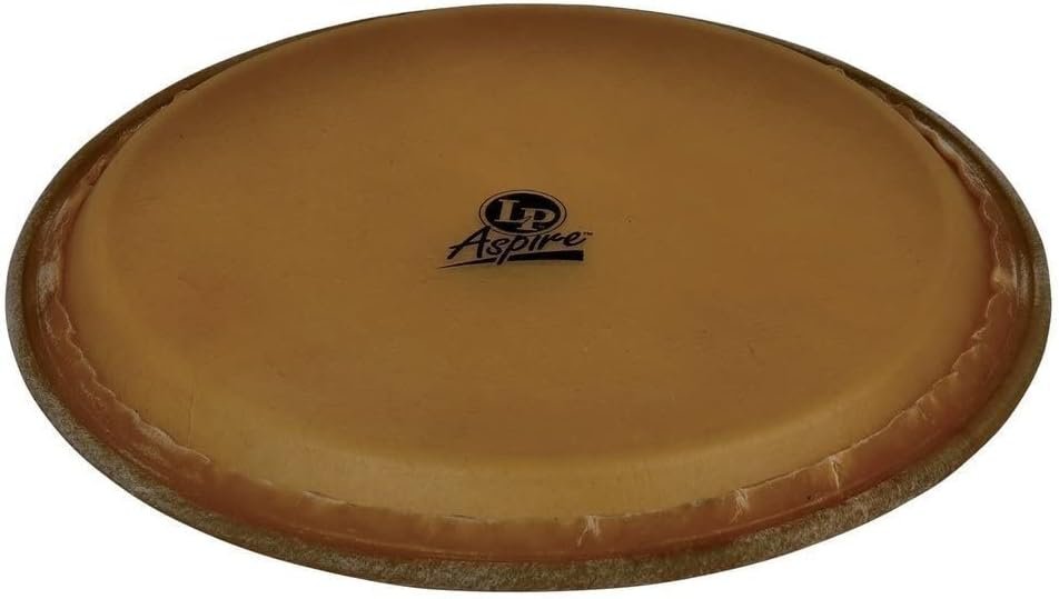 Latin Percussion LPA640B Aspire 11-Inch Rawhide Conga Head