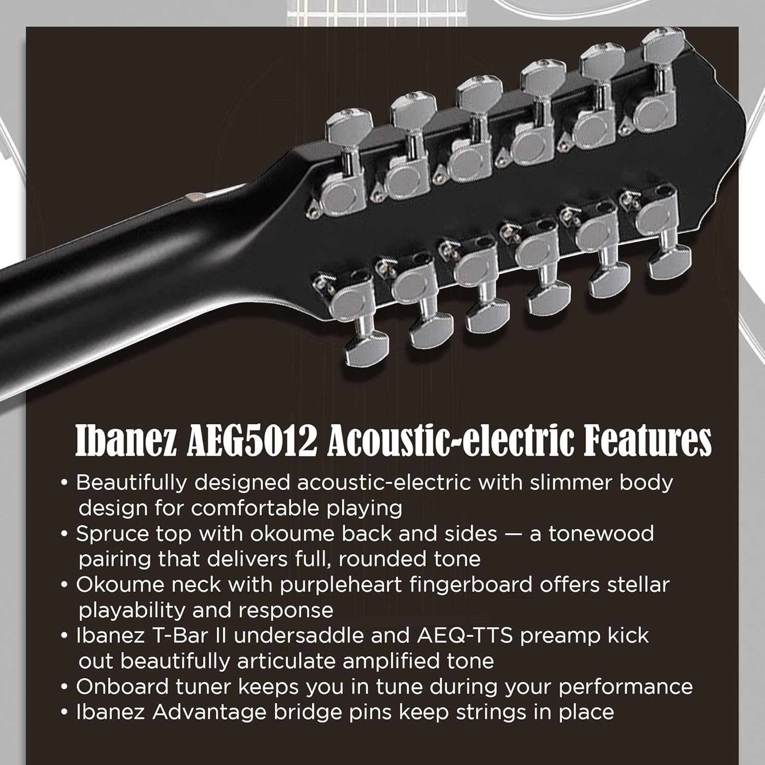 Ibanez AEG5012 AEG Series Single-Cutaway 12-String Acoustic-Electric Guitar, Black