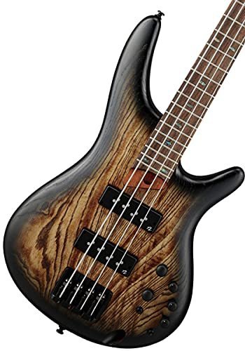 Ibanez SR Standard 4-String Electric Bass (Antique Brown Stained Burst)