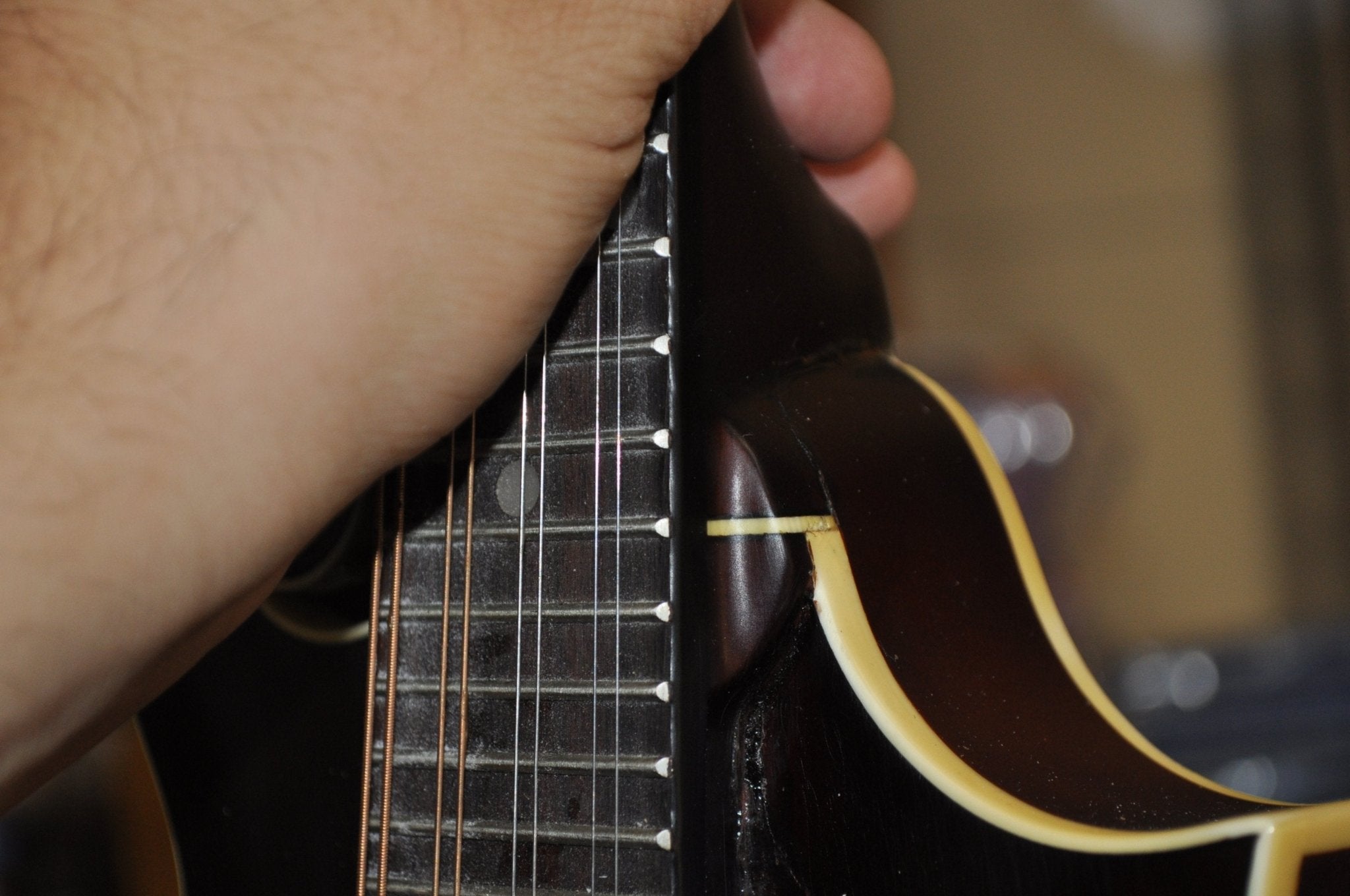 The Loar LM-310F-BRB Honey Creek F-Style Mandolin