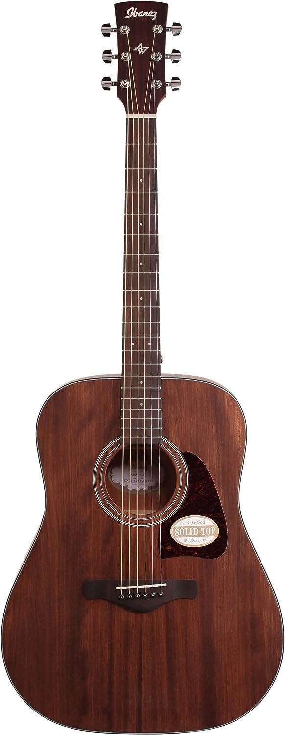 Ibanez AW54OPN Artwood Dreadnought Acoustic Guitar - Open Pore Natural