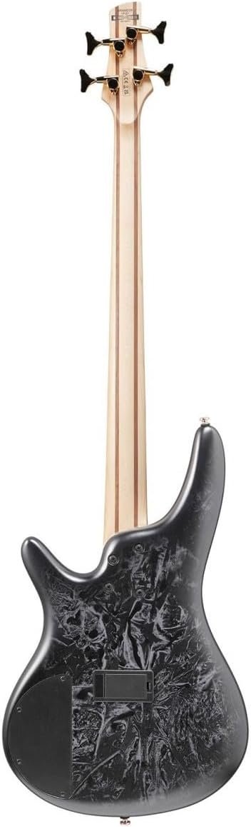 Ibanez SR Standard 4-String Electric Bass Guitar with PowerSpan Dual Coil Pickups and Accu-Cast B500 Series Bridge (Black Ice Frozen Matte)