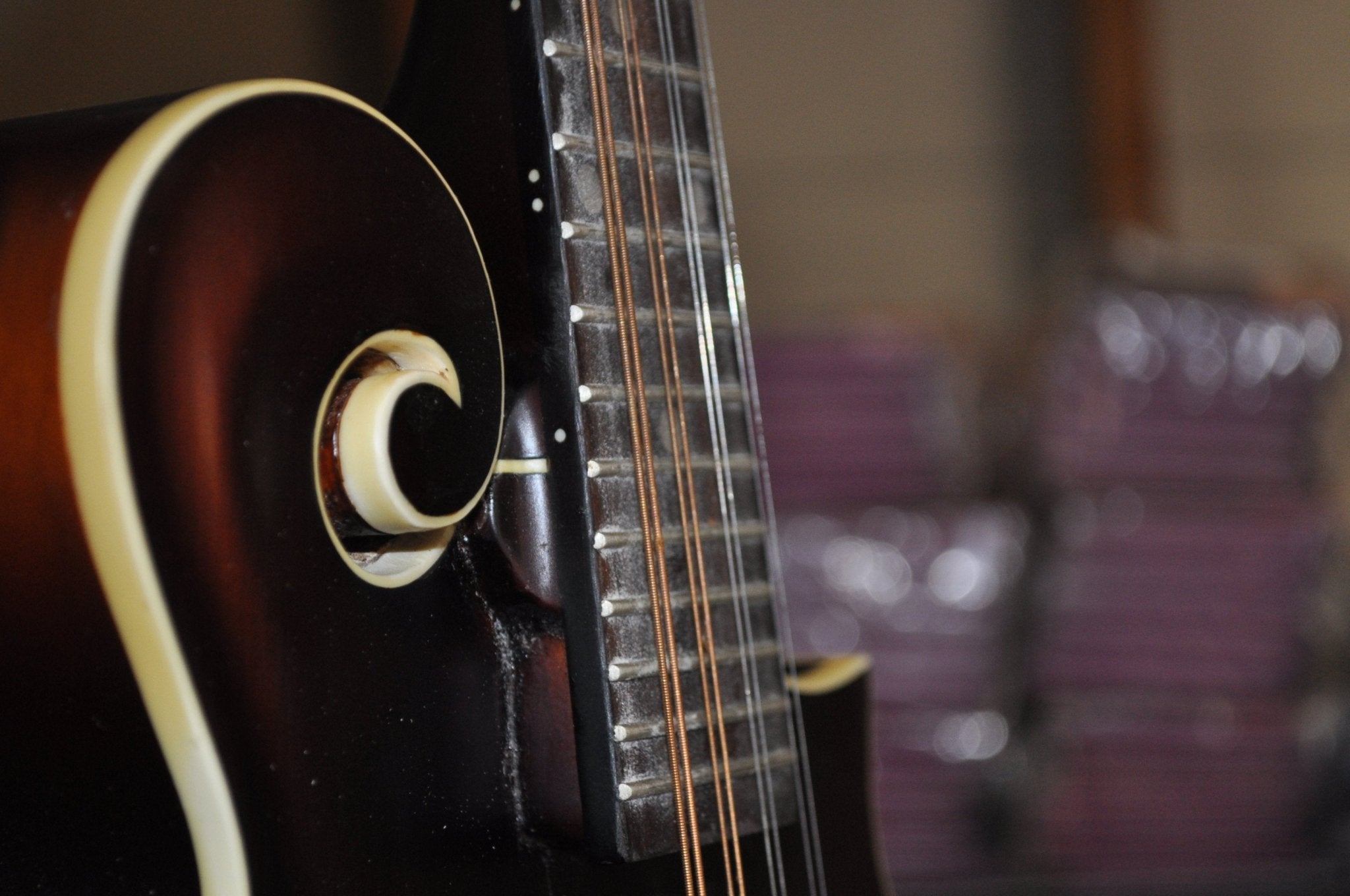 The Loar LM-310F-BRB Honey Creek F-Style Mandolin