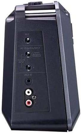 Roland Mobile Cube Battery-Powered Stereo Amplifier