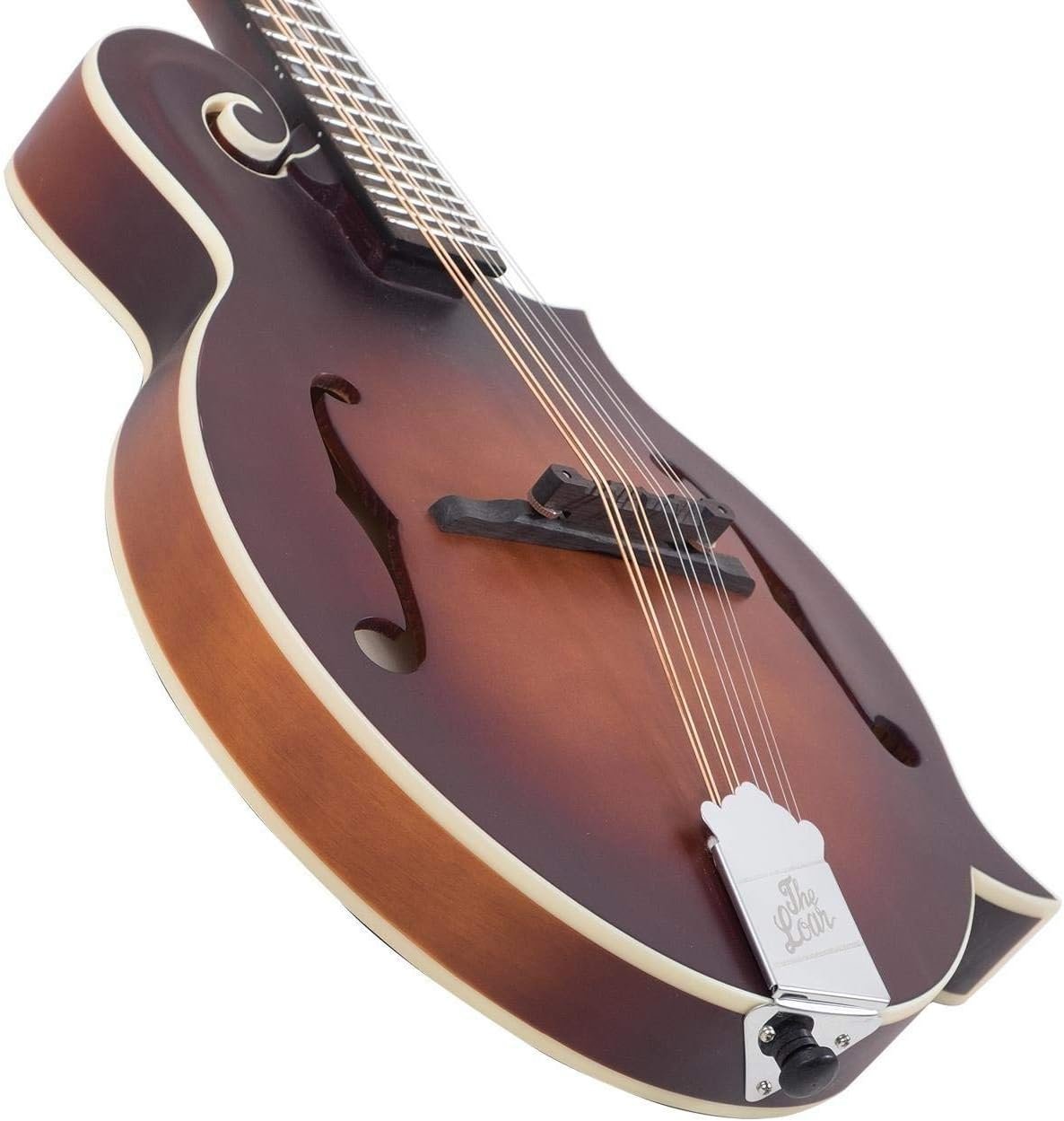 The Loar LM-310F-BRB Honey Creek F-Style Mandolin