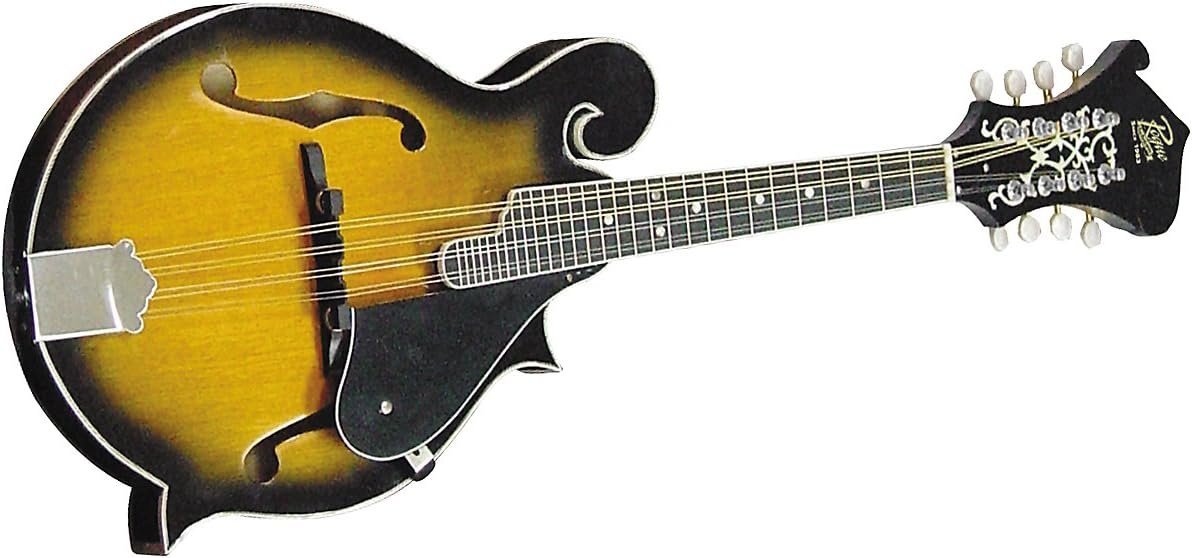 Rogue RM100F F-style Mandolin