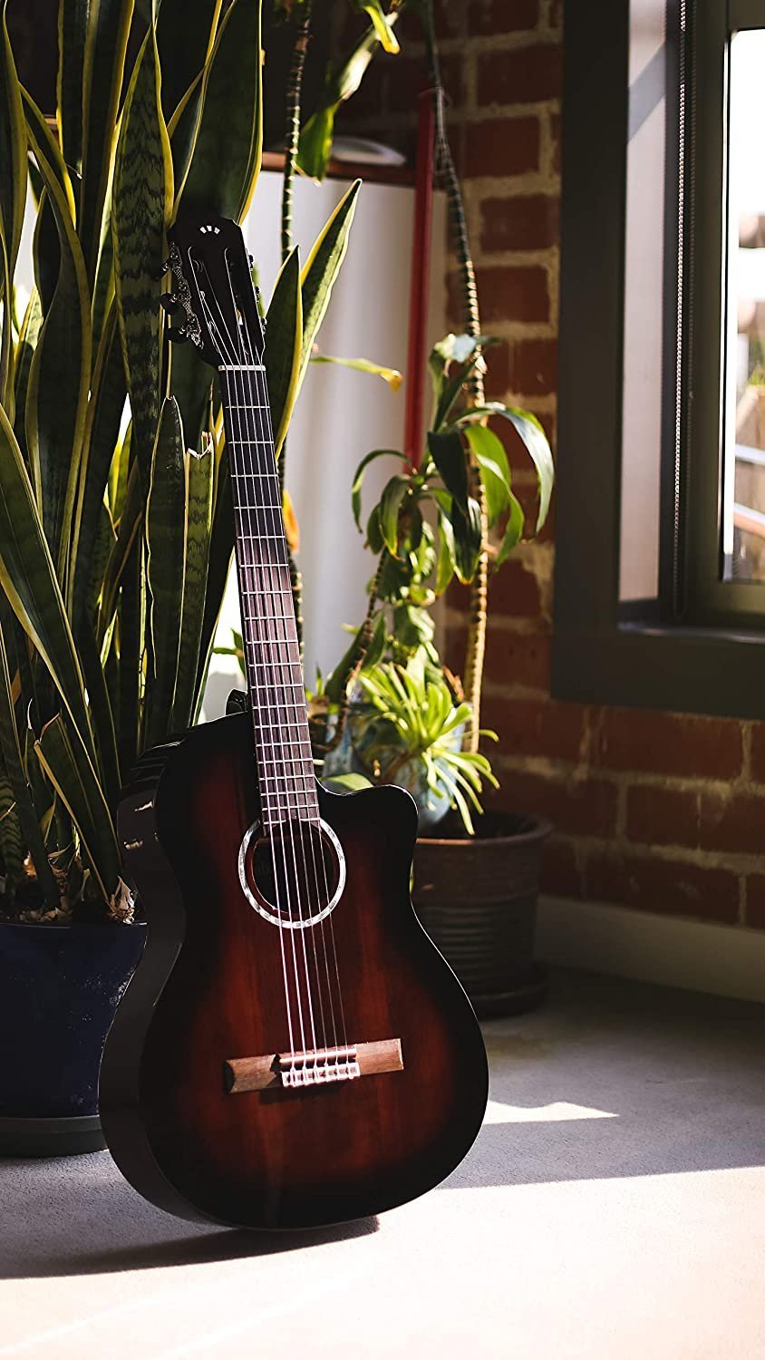 Cordoba Fusion 5 Sonata Burst Acoustic-Electric Cutaway Nylon String Guitar, Fusion Series