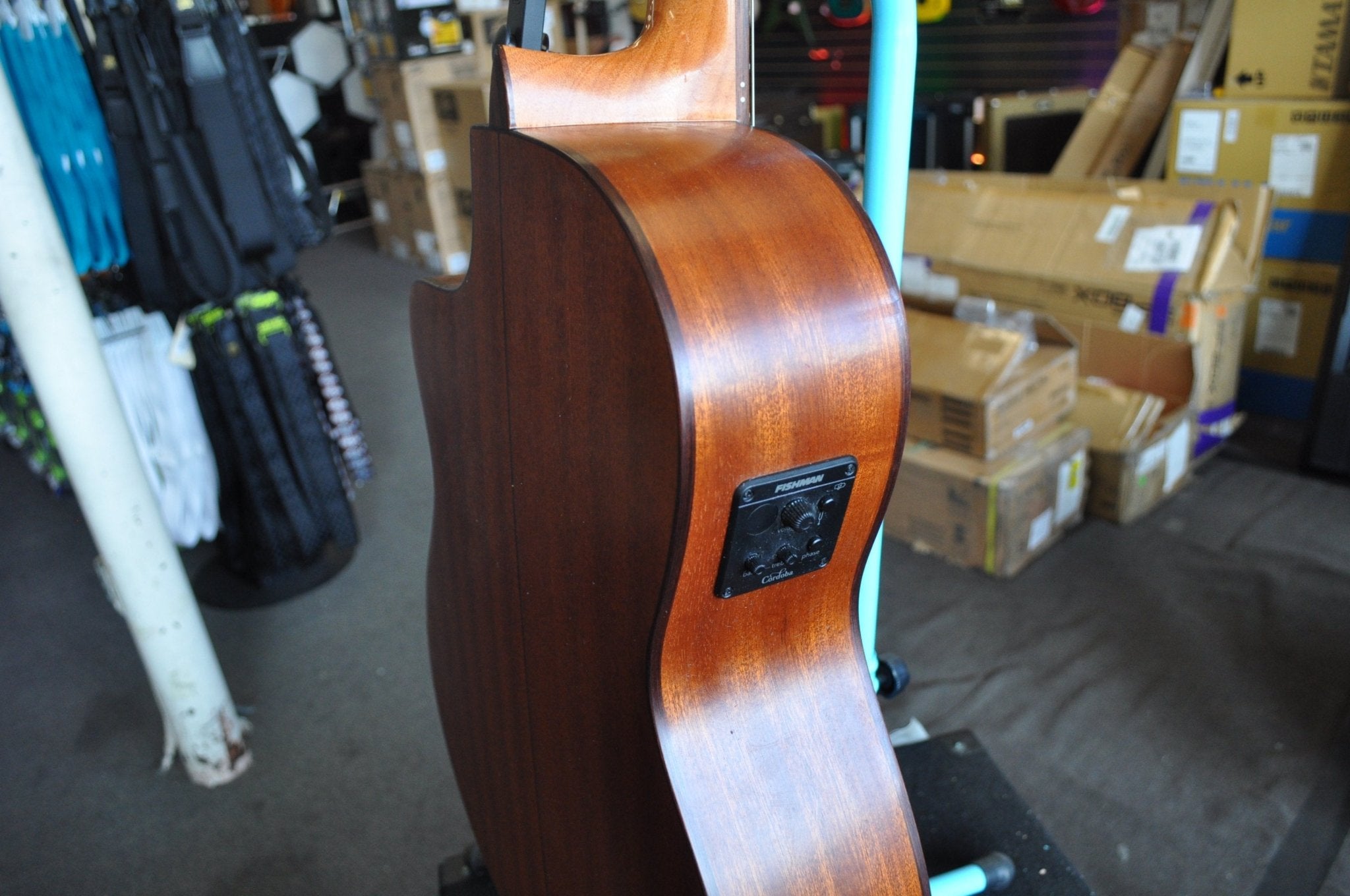 Cordoba 6 C5-CE CD Classical Acoustic Nylon String Guitar, Iberia Series, Right, Cedar, Cutaway Electric (Withouth Gig Bag)