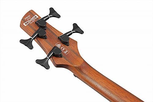 Ibanez SR Standard 4-String Electric Bass (Antique Brown Stained Burst)