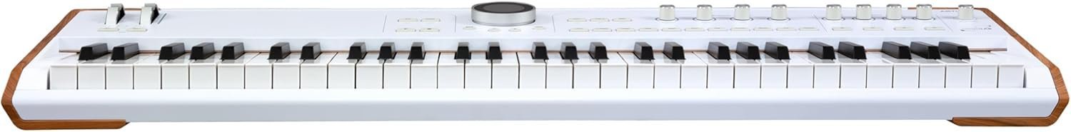 Arturia AstroLab 61-Key Semi-Weighted Stage Keyboard — With 1300 Sounds and Analog Lab Pro Software Included