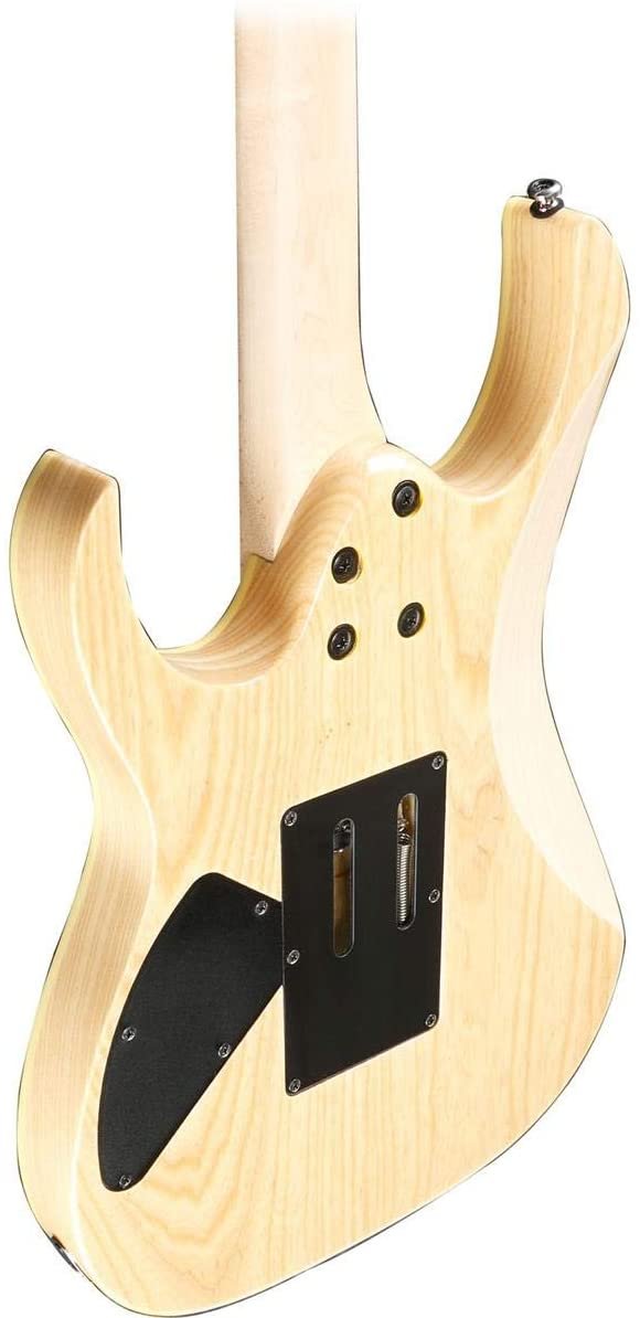 Ibanez RG470AHM Standard 6-String Electric Guitar (Blue Moon Burst)