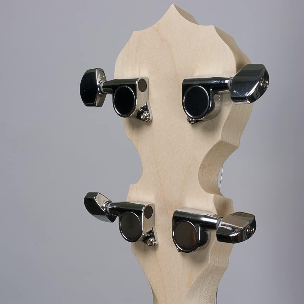 Deering Goodtime Special 5-String Banjo