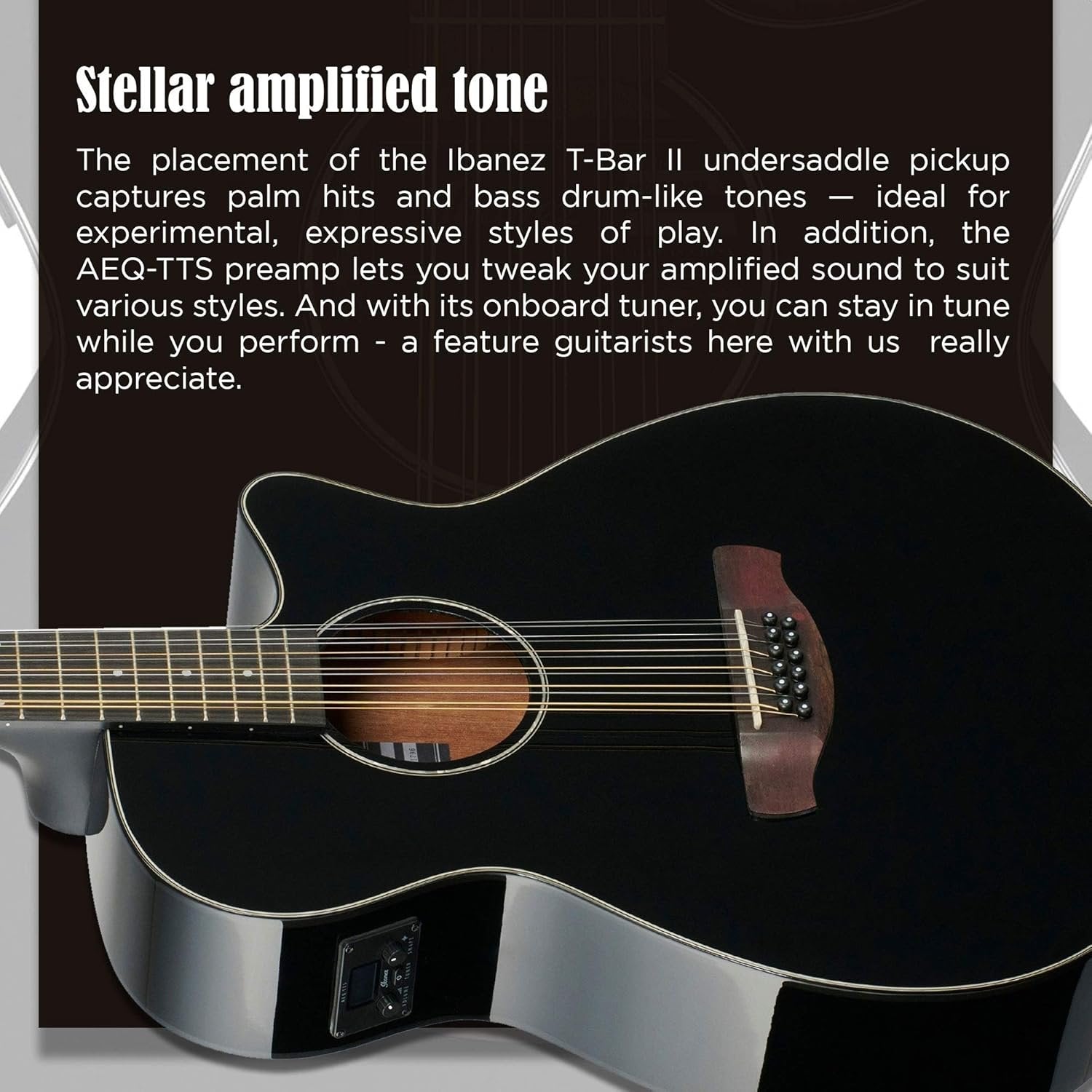 Ibanez AEG5012 AEG Series Single-Cutaway 12-String Acoustic-Electric Guitar, Black