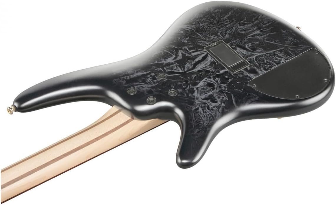 Ibanez SR Standard 4-String Electric Bass Guitar with PowerSpan Dual Coil Pickups and Accu-Cast B500 Series Bridge (Black Ice Frozen Matte)