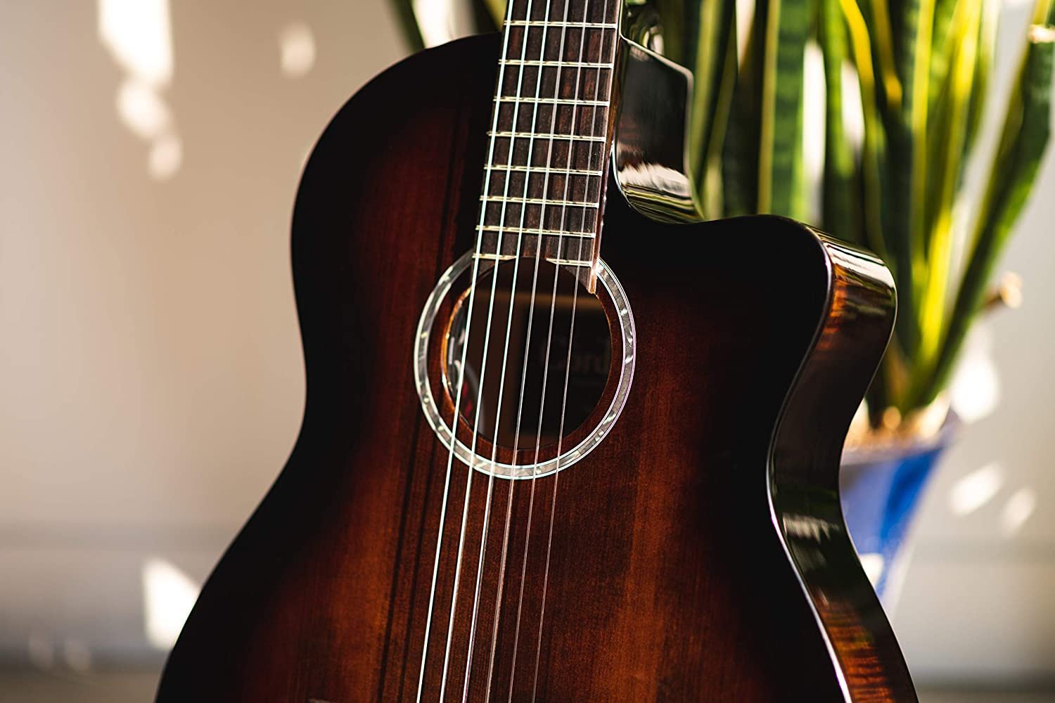 Cordoba Fusion 5 Sonata Burst Acoustic-Electric Cutaway Nylon String Guitar, Fusion Series