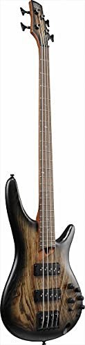 Ibanez SR Standard 4-String Electric Bass (Antique Brown Stained Burst)