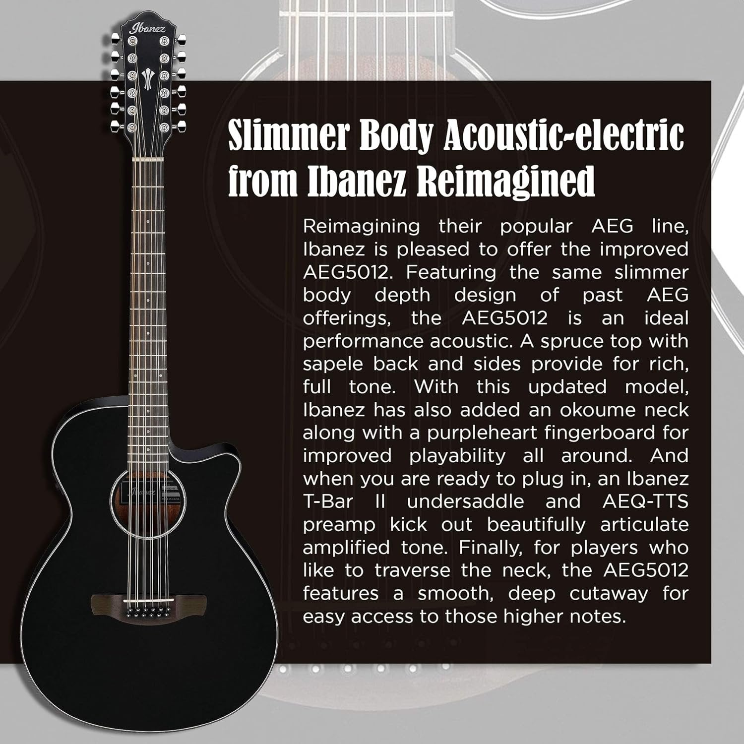 Ibanez AEG5012 AEG Series Single-Cutaway 12-String Acoustic-Electric Guitar, Black