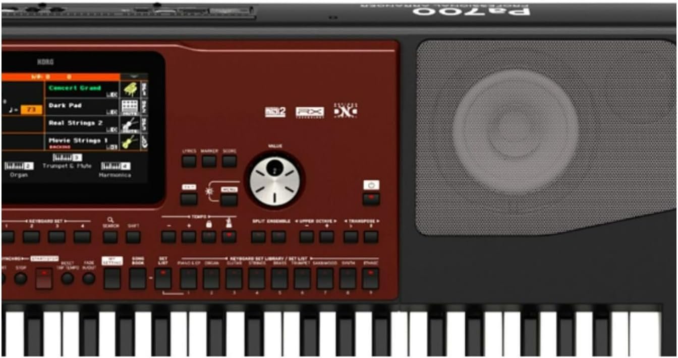 Korg Pa700 Oriental Professional Arranger 61-Key with Touchscreen and Speakers