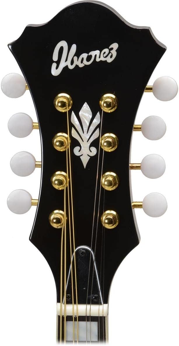 Ibanez M522SBS F-Style Mandolin, Brown Sunburst High Gloss