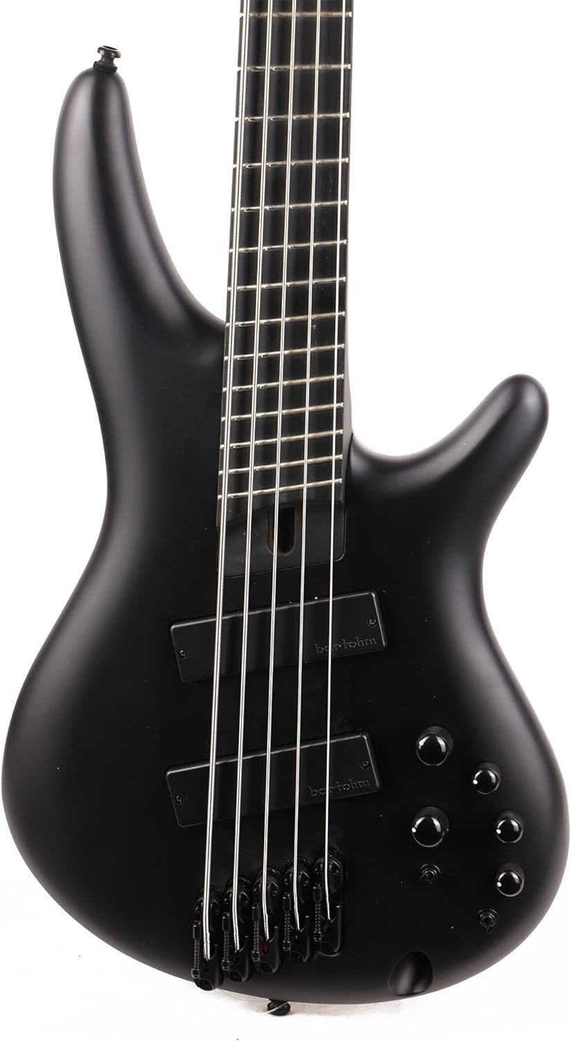 Ibanez SRMS625EXBKF SR Iron Label 5-String Multiscale Electric Bass Guitar (Right-Hand, Black Flat)