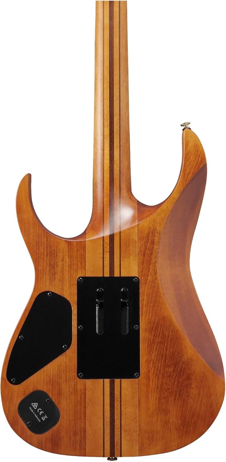 Ibanez Premium RGT1220PB Electric Guitar - Antique Brown Stained EAN: 4549763308849