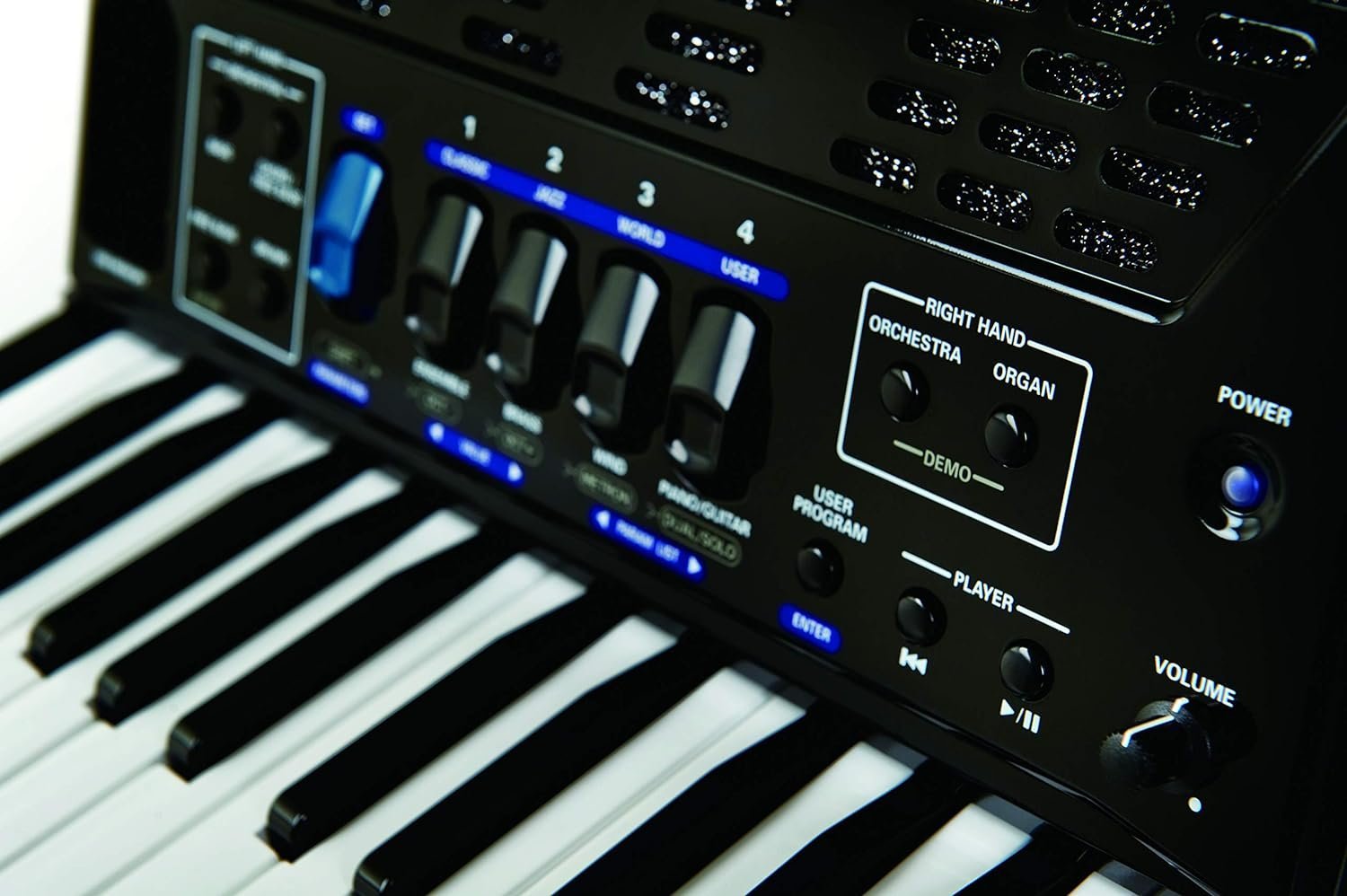 Roland FR-1X Premium V-Accordion Lite with 26 Piano Keys and Speakers, Black