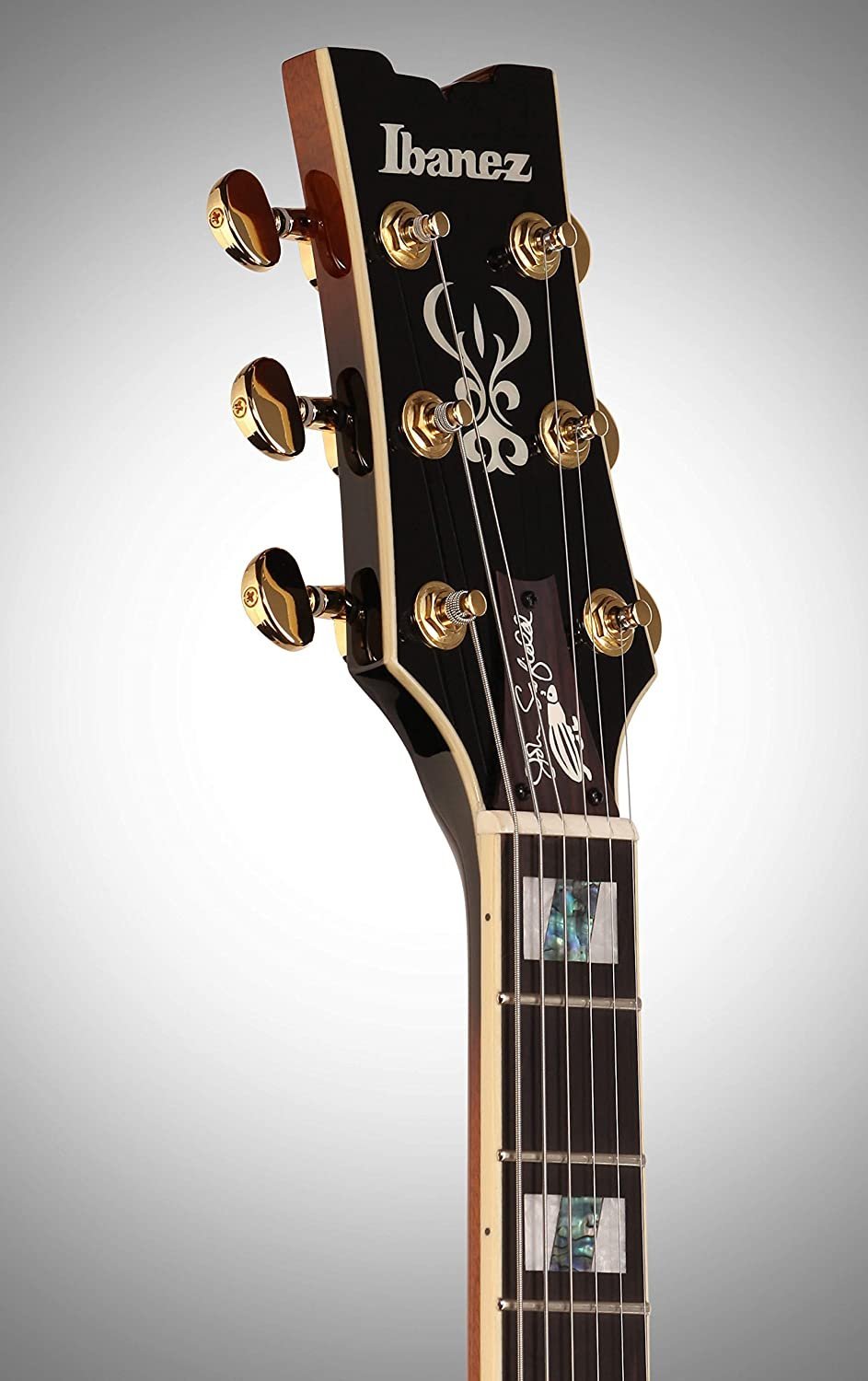 Ibanez JSM10 John Scofield Signature Semi-Hollowbody Electric Guitar Vintage Yellow Sunburst