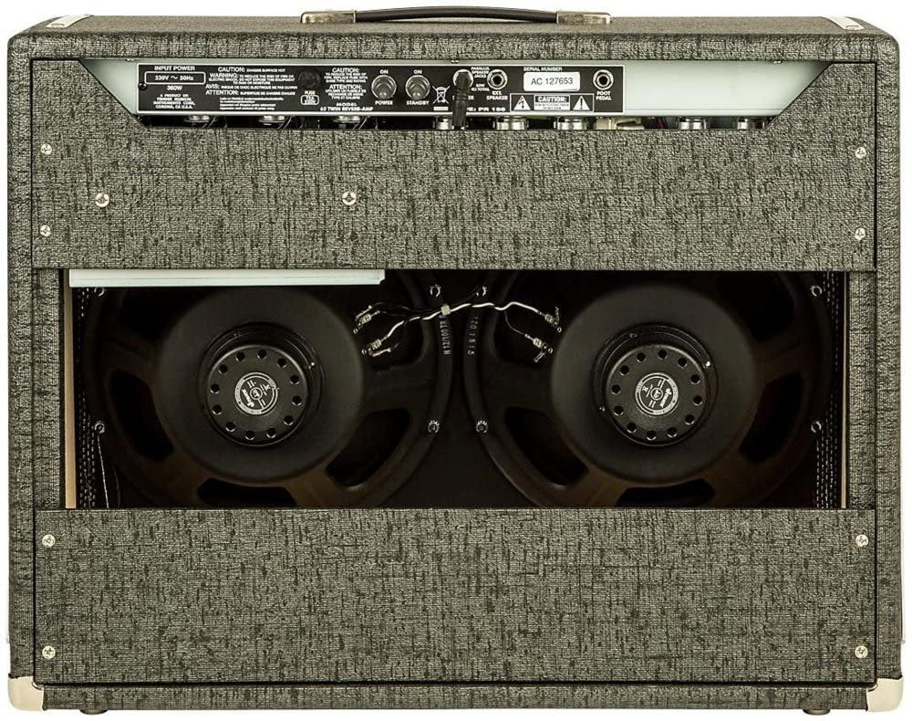 Fender George Benson Signature Series Twin Reverb Amplifier