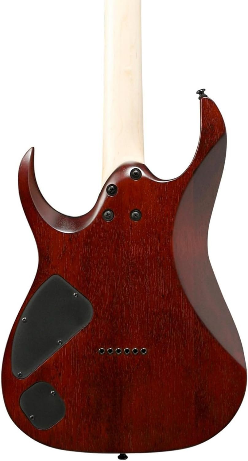 Ibanez RGA42FM Elec Gtr Dragon Eye Burst Flat