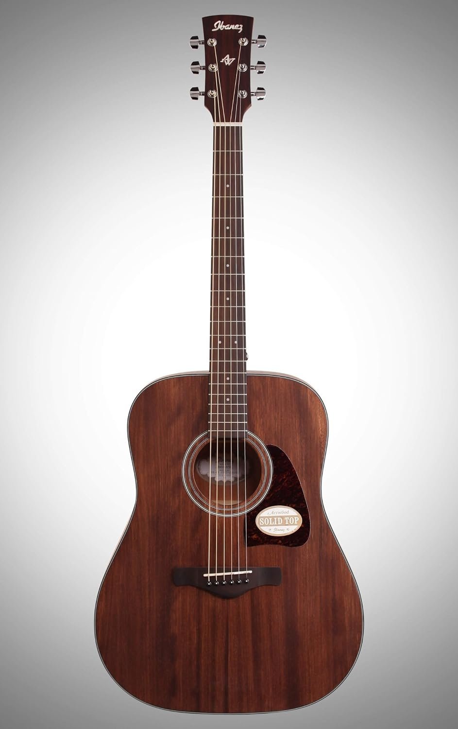 Ibanez AW54OPN Artwood Dreadnought Acoustic Guitar - Open Pore Natural