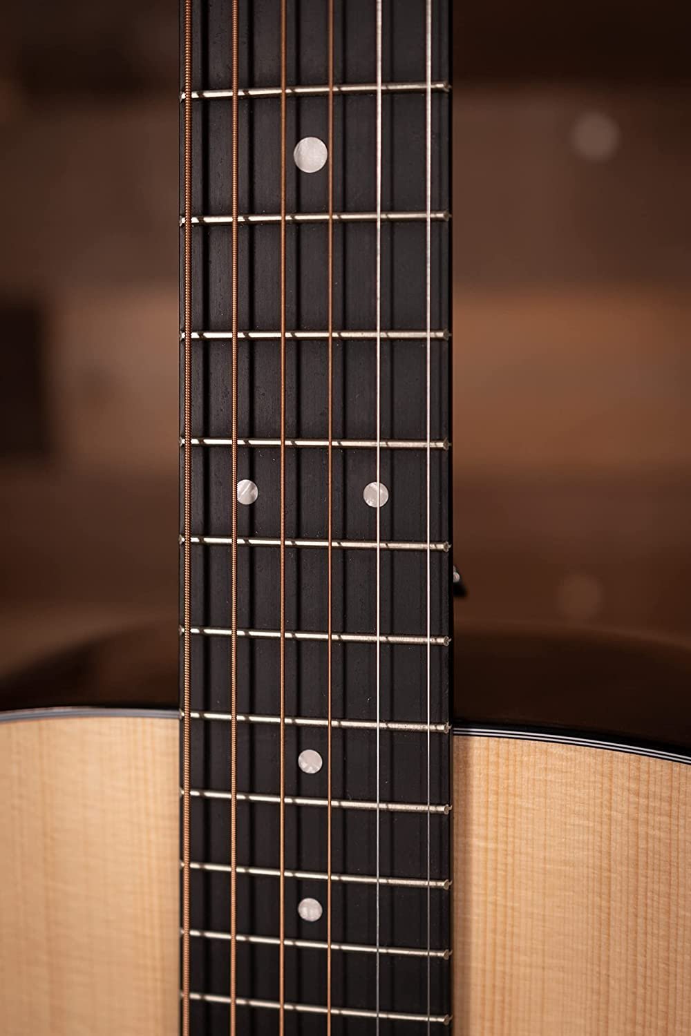 Martin D-12 Road Series Acoustic Guitar W Soft Case