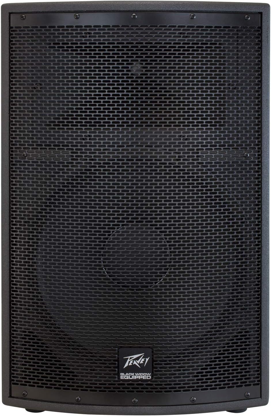 Peavey SP 2 1000-Watt 2-Way PA Speaker