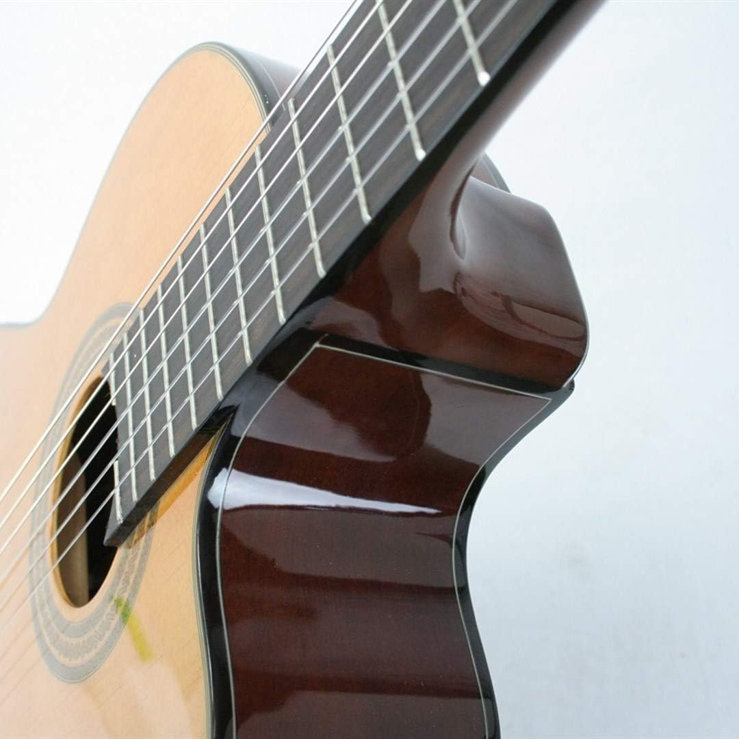 Ibanez 6 String Classical Guitar, Right, Natural (GA6CE)