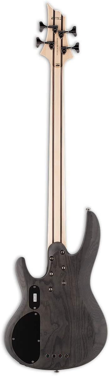 ESP LTD B-204SM Spalted Maple Bass Guitar, See Thru Black Satin