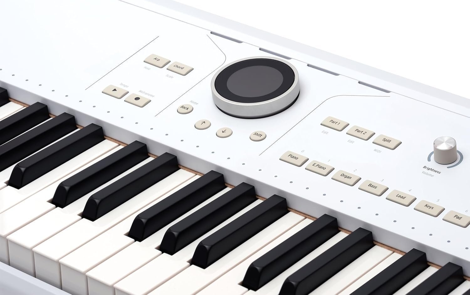 Arturia AstroLab 61-Key Semi-Weighted Stage Keyboard — With 1300 Sounds and Analog Lab Pro Software Included