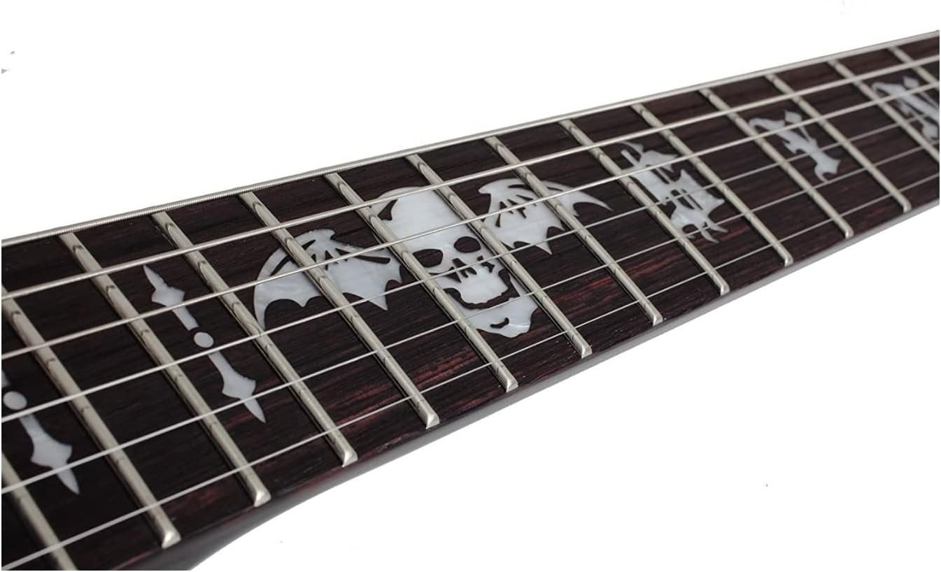 Schecter 6 String Solid-Body Electric Guitar, Gloss Black (1739)