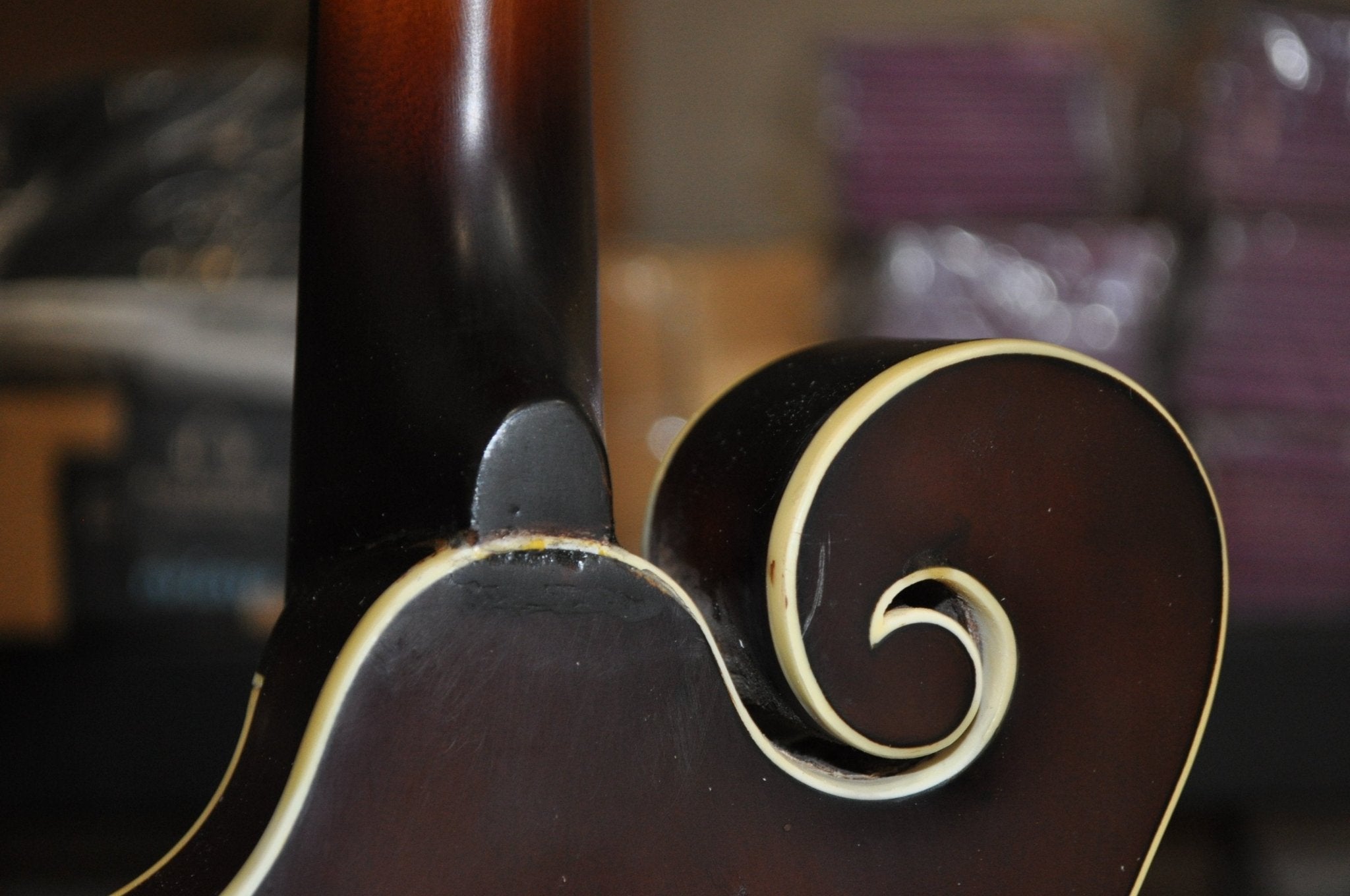 The Loar LM-310F-BRB Honey Creek F-Style Mandolin