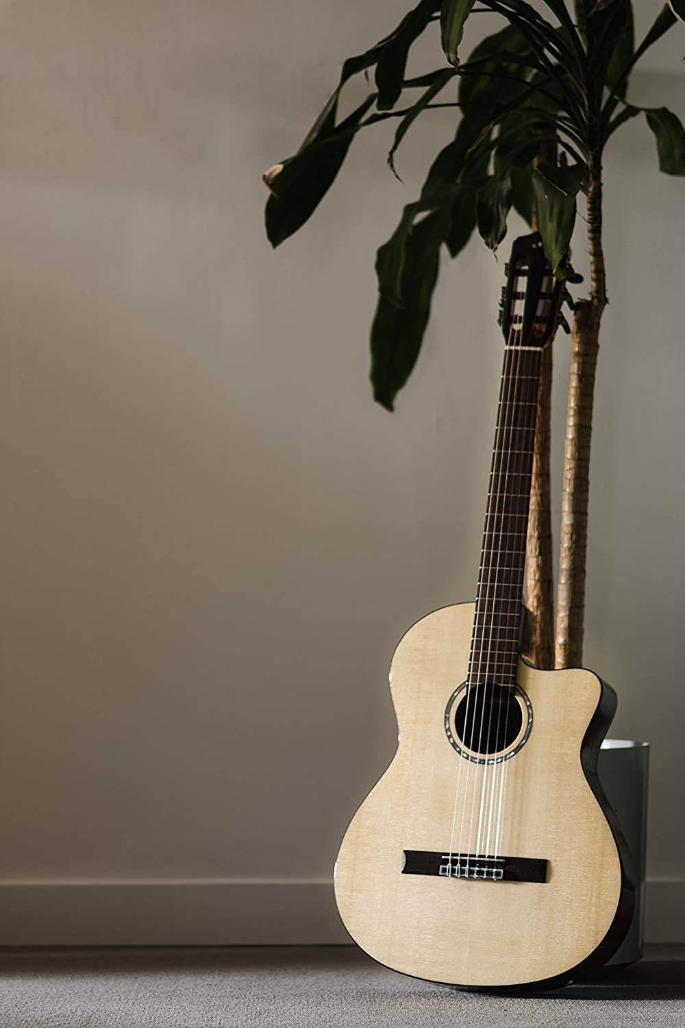 Cordoba Fusion 5 Acoustic-Electric Cutaway Nylon String Guitar, Natural, Fusion Series