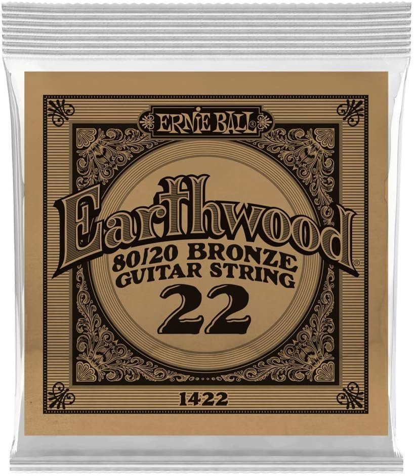 Ernie Ball Earthwood 80/20 Bronze Guitar Singe String 22 (P01422)