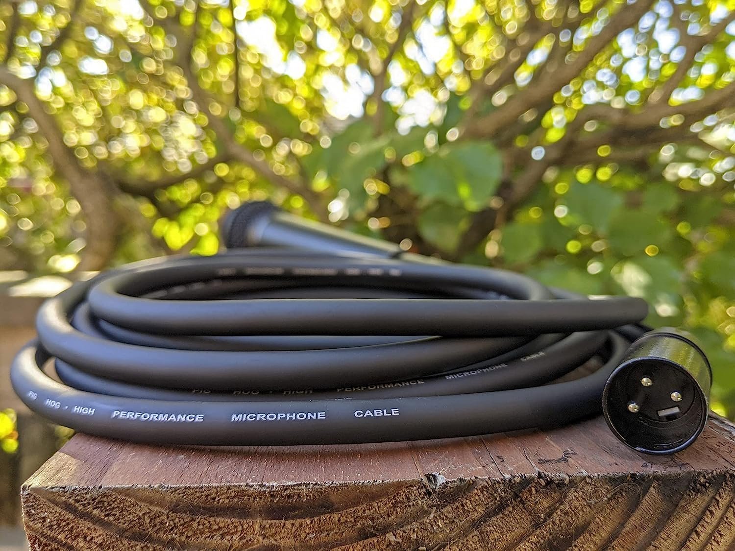 Pig Hog PHM6 High Performance 8mm XLR Microphone Cable, 6 Feet