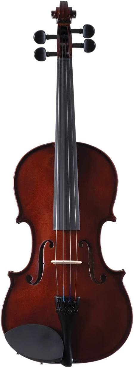 Palatino VN-450 Allegro Violin Outfit, 1/4 Size