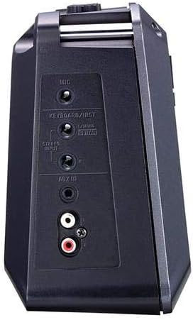 Roland Mobile Cube Battery-Powered Stereo Amplifier