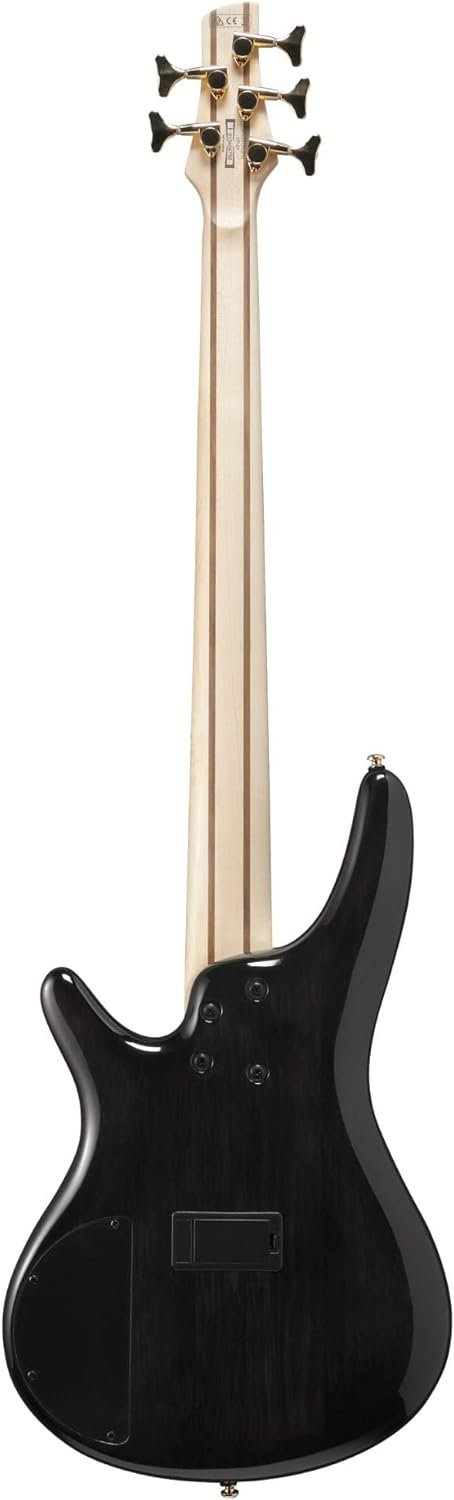 Ibanez SR405EPBDX Standard 5-String Bass Tropical Seafloor Burst