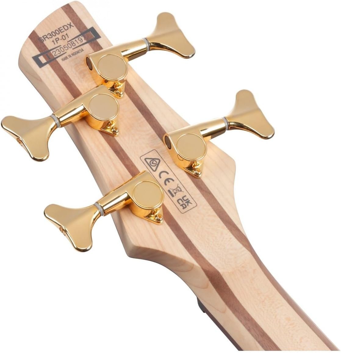 Ibanez SR Standard 4-String Electric Bass Guitar with PowerSpan Dual Coil Pickups and Accu-Cast B500 Series Bridge (Black Ice Frozen Matte)