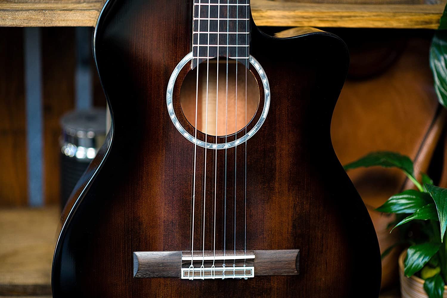 Cordoba Fusion 5 Sonata Burst Acoustic-Electric Cutaway Nylon String Guitar, Fusion Series